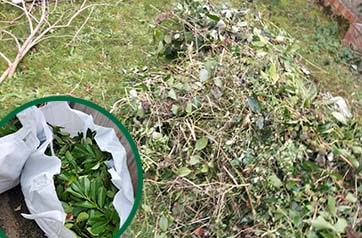 Garden Rubbish Clearance London Rubbish Clearance